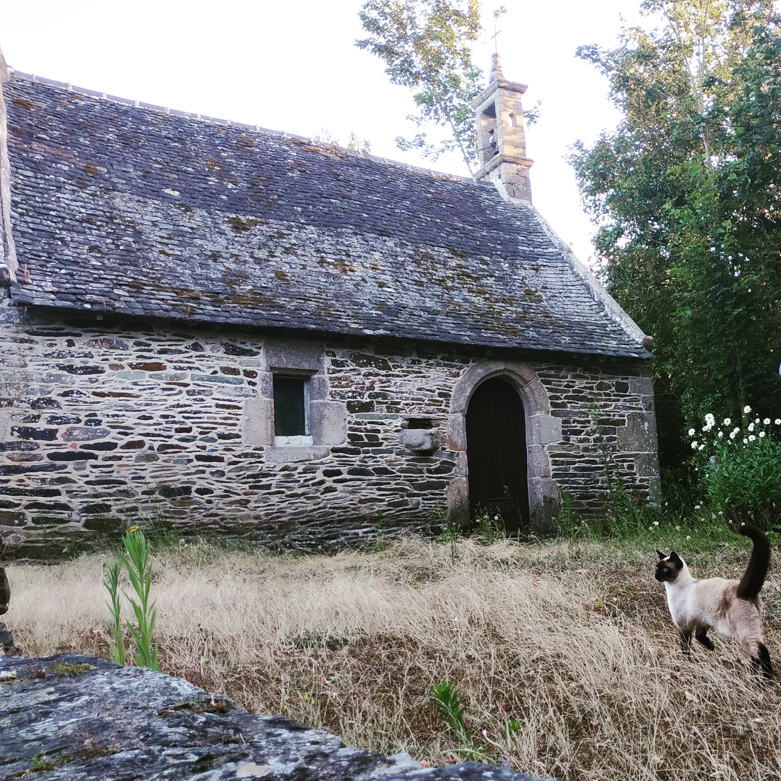 Chapelle de la Pitié, La Roche-Derrien (La Roche-Jaudy)
