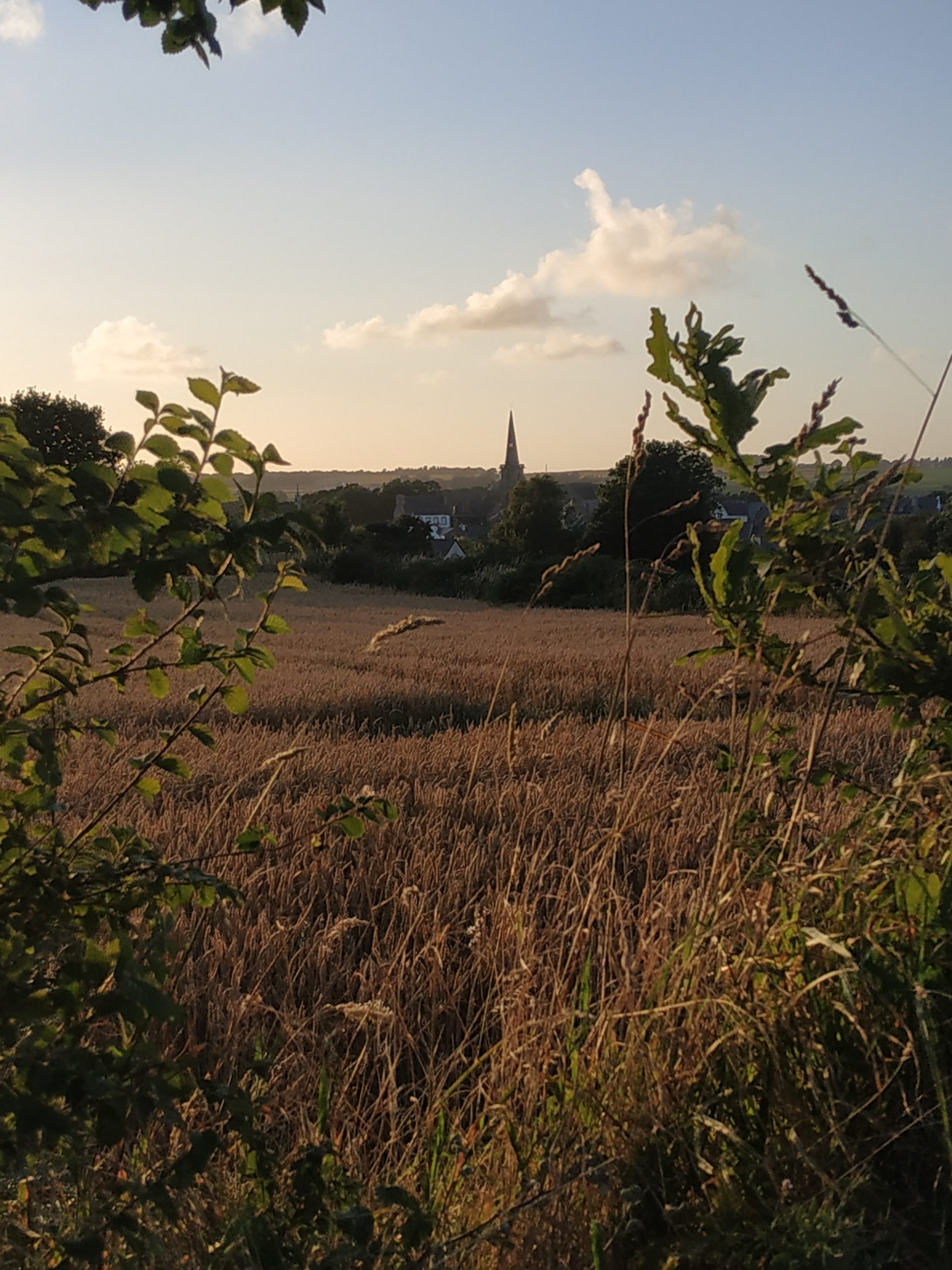 Vue de La Roche-Derrien au coucher de soleil, depuis le Jaudy