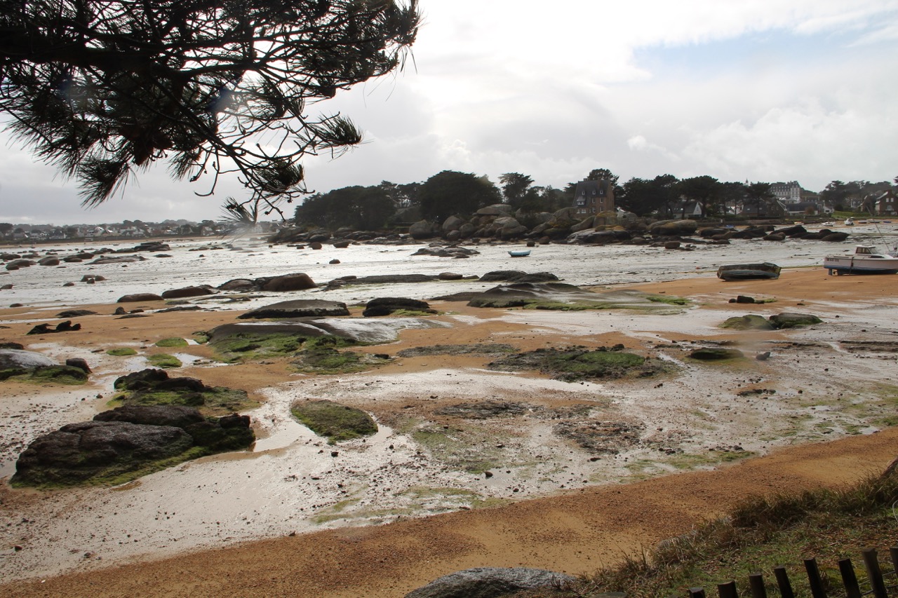 Île Renote, Trégastel