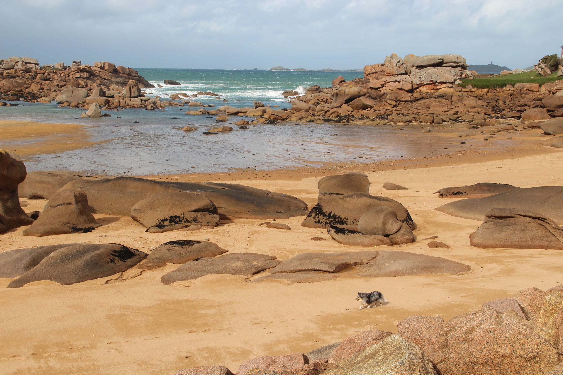 Plage et rochers de granit rose à l'île Renote à Trégastel